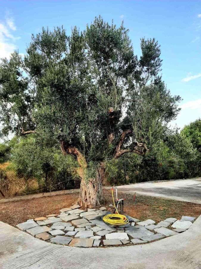 Castello Apartments Kalyves Polygyrou Εξωτερικό φωτογραφία